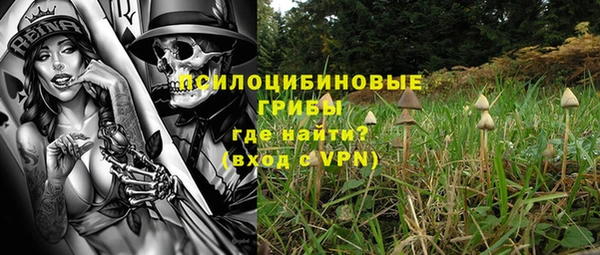 крисы Семикаракорск
