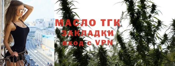 СК Алексин