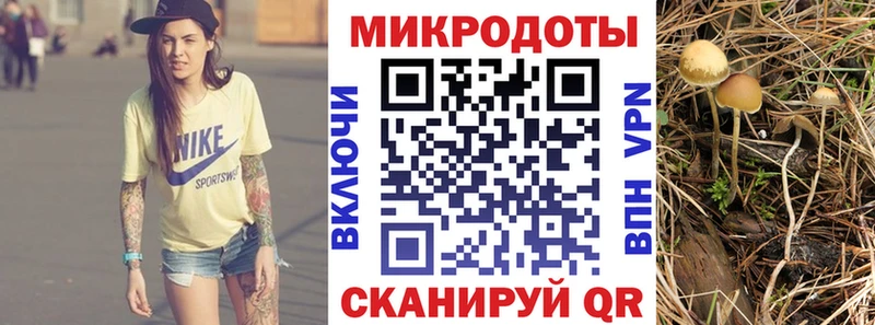 Псилоцибиновые грибы мицелий  OMG ONION  Бодайбо 