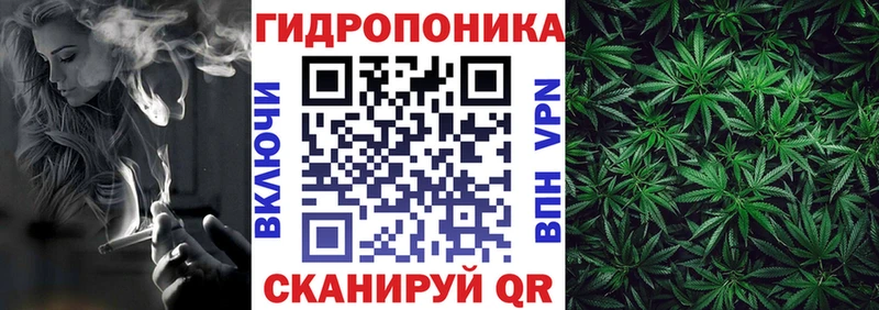 Бошки Шишки VHQ Бодайбо